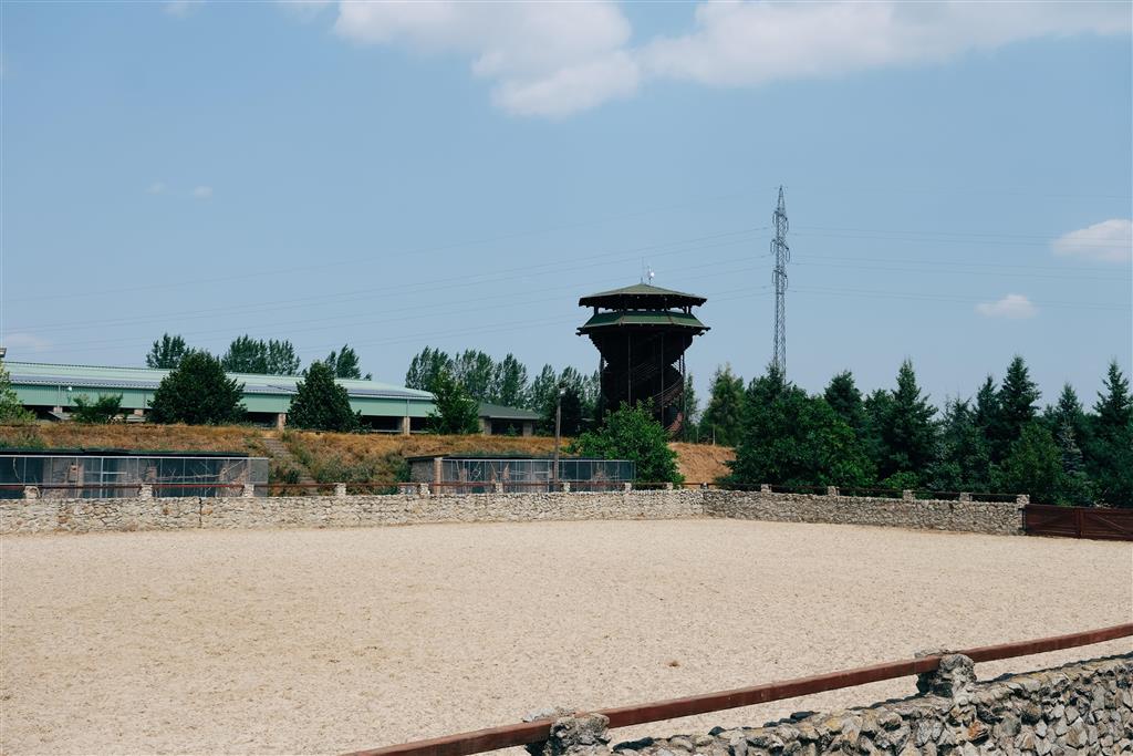 Letný tábor So Slniečkom na ryby